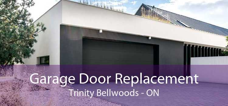 Garage Door Replacement Trinity Bellwoods - ON